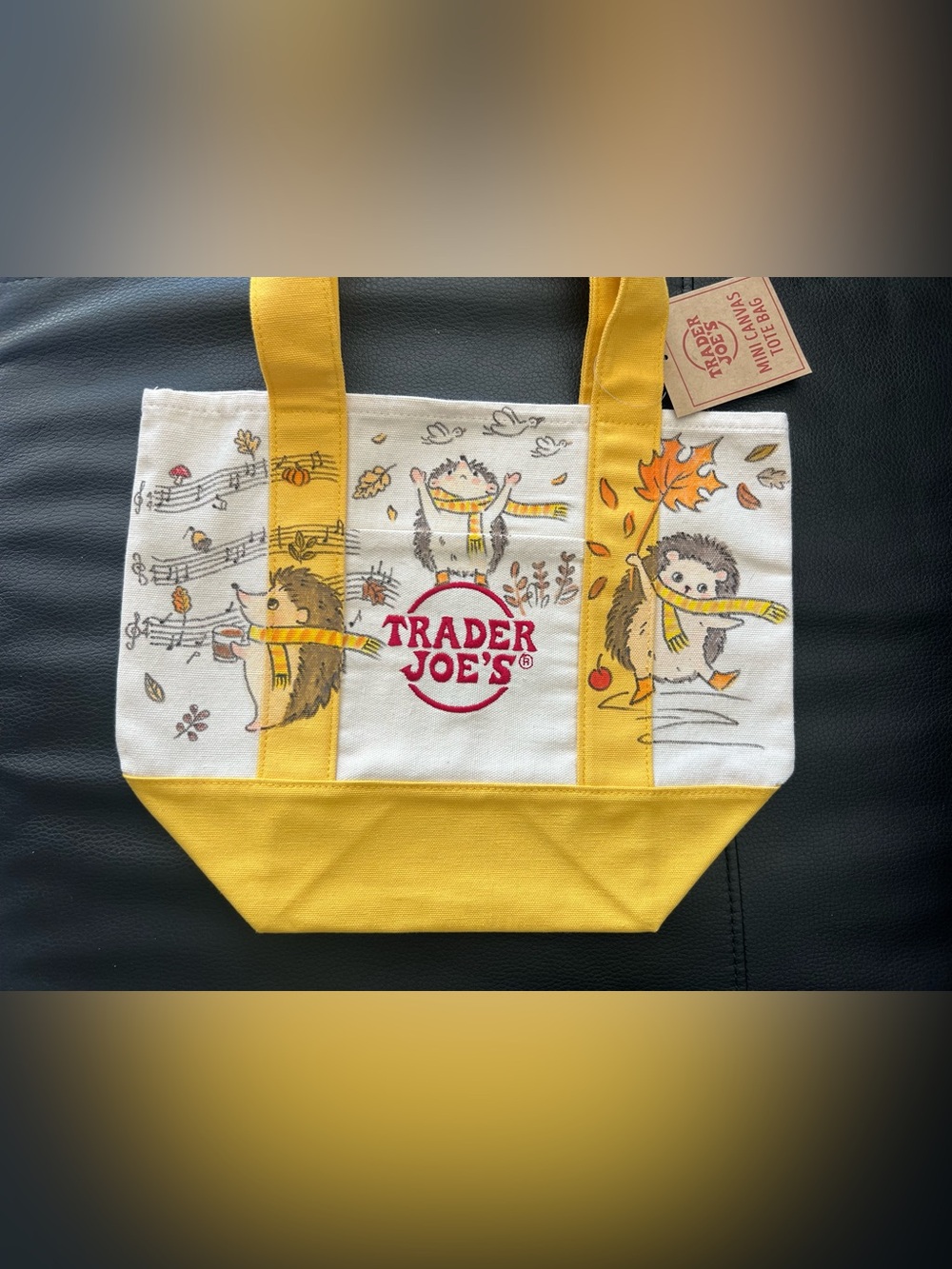 Trader Joe’s x Autumn Melody Hedgehog hand-painted mini yellow canvas tote bag